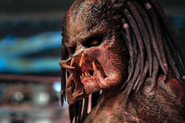 Poster phim Predator