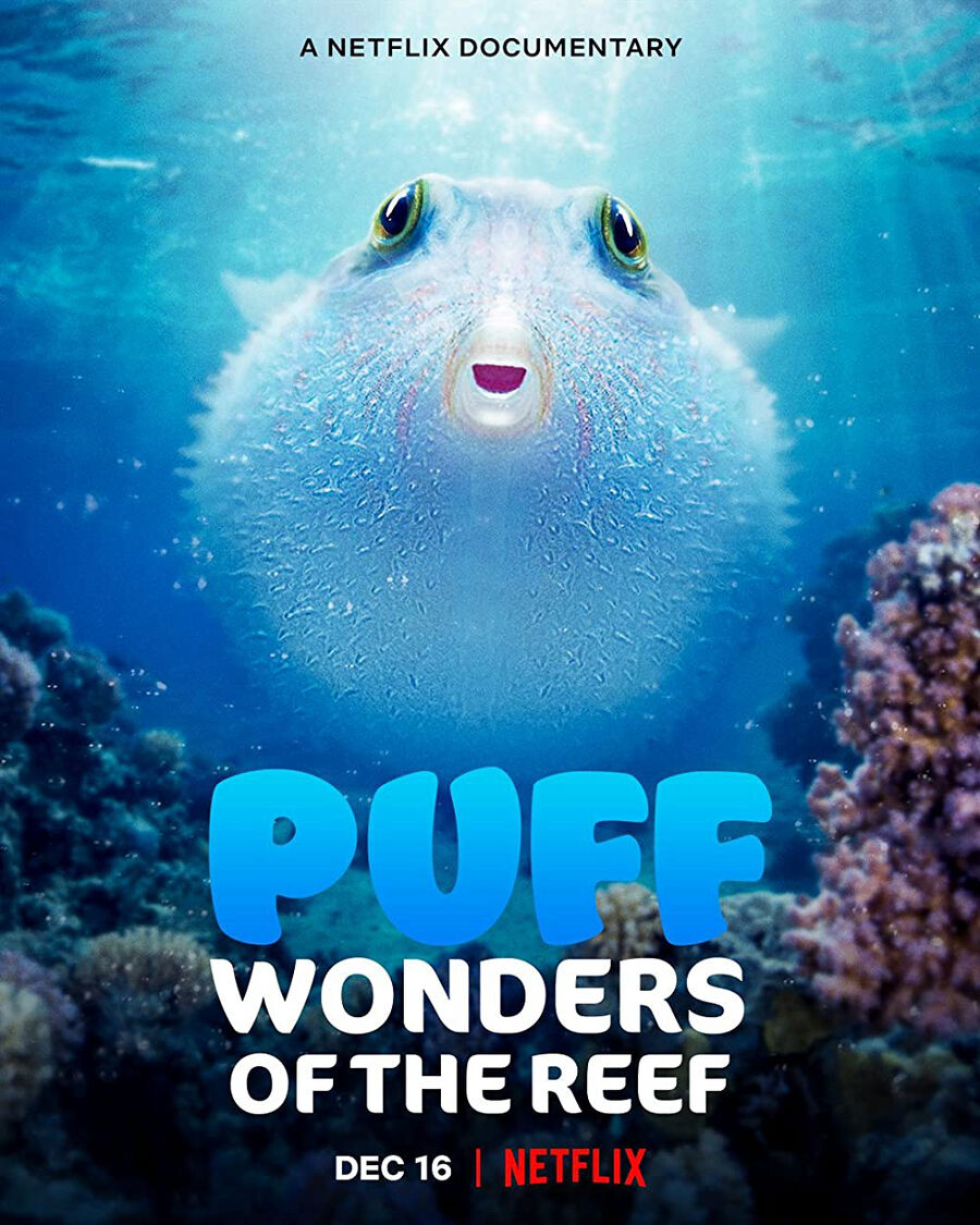 Hình ảnh phim Puff: Rạn san hô kỳ diệu