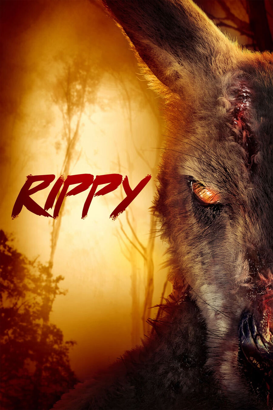 Hình ảnh phim Rippy