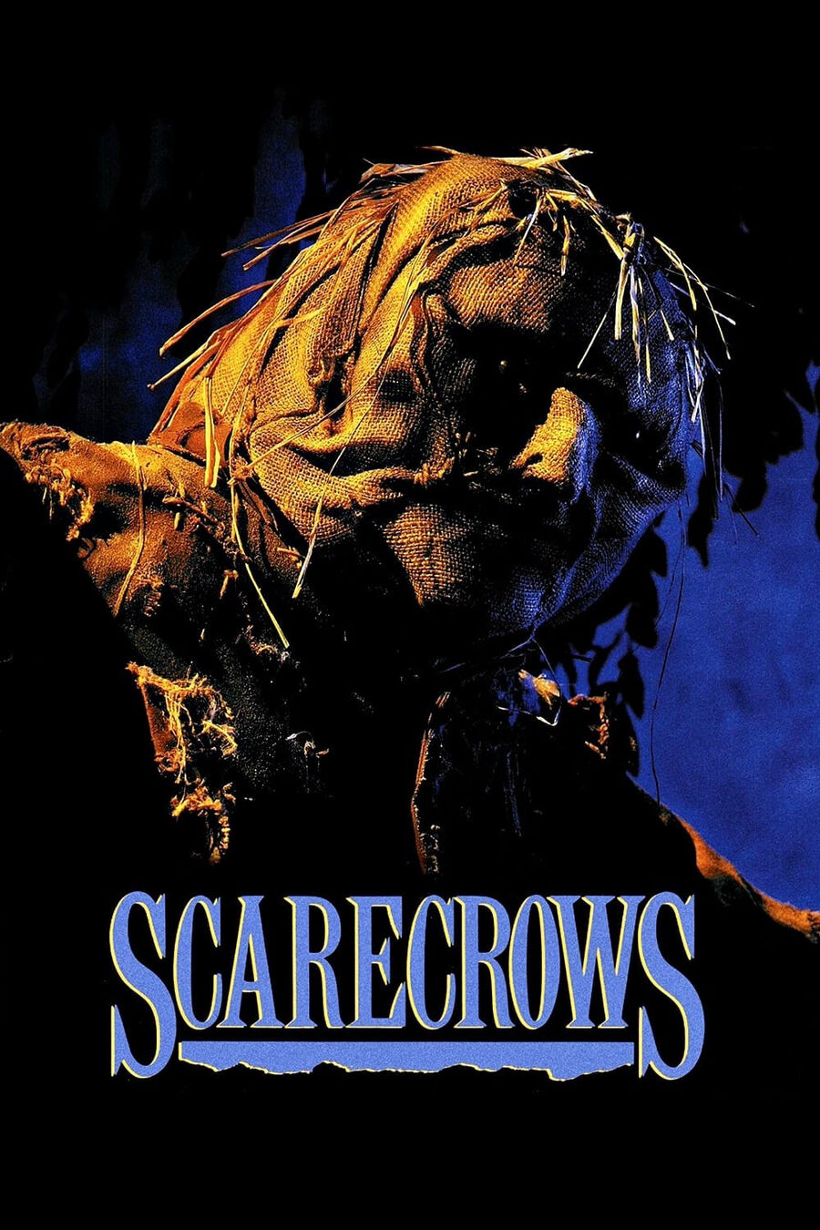 Hình ảnh phim Scarecrows