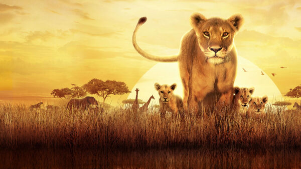 Poster phim Serengeti