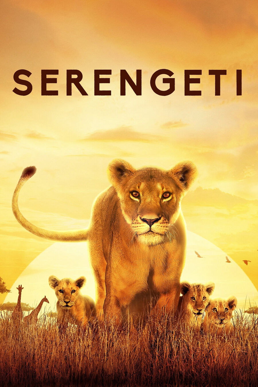 Hình ảnh phim Serengeti
