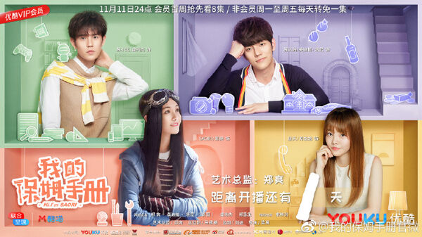 Poster phim Sổ Tay Bảo Mẫu Của Tôi