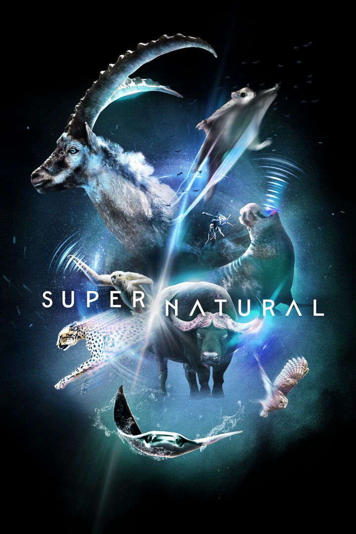 Tập 1 phim Super/Natural
