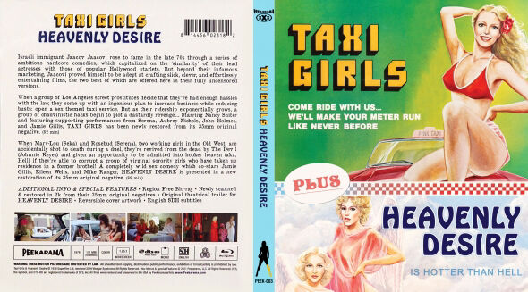 Poster phim Taxi Girls