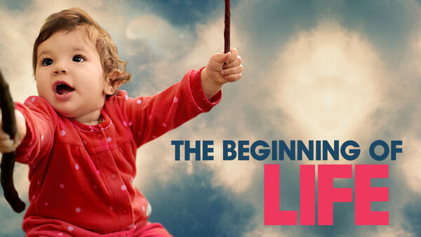 Poster phim The Beginning of Life
