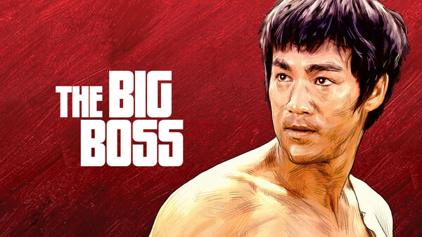 Poster phim The Big Boss