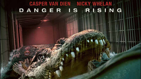 Poster phim The Flood