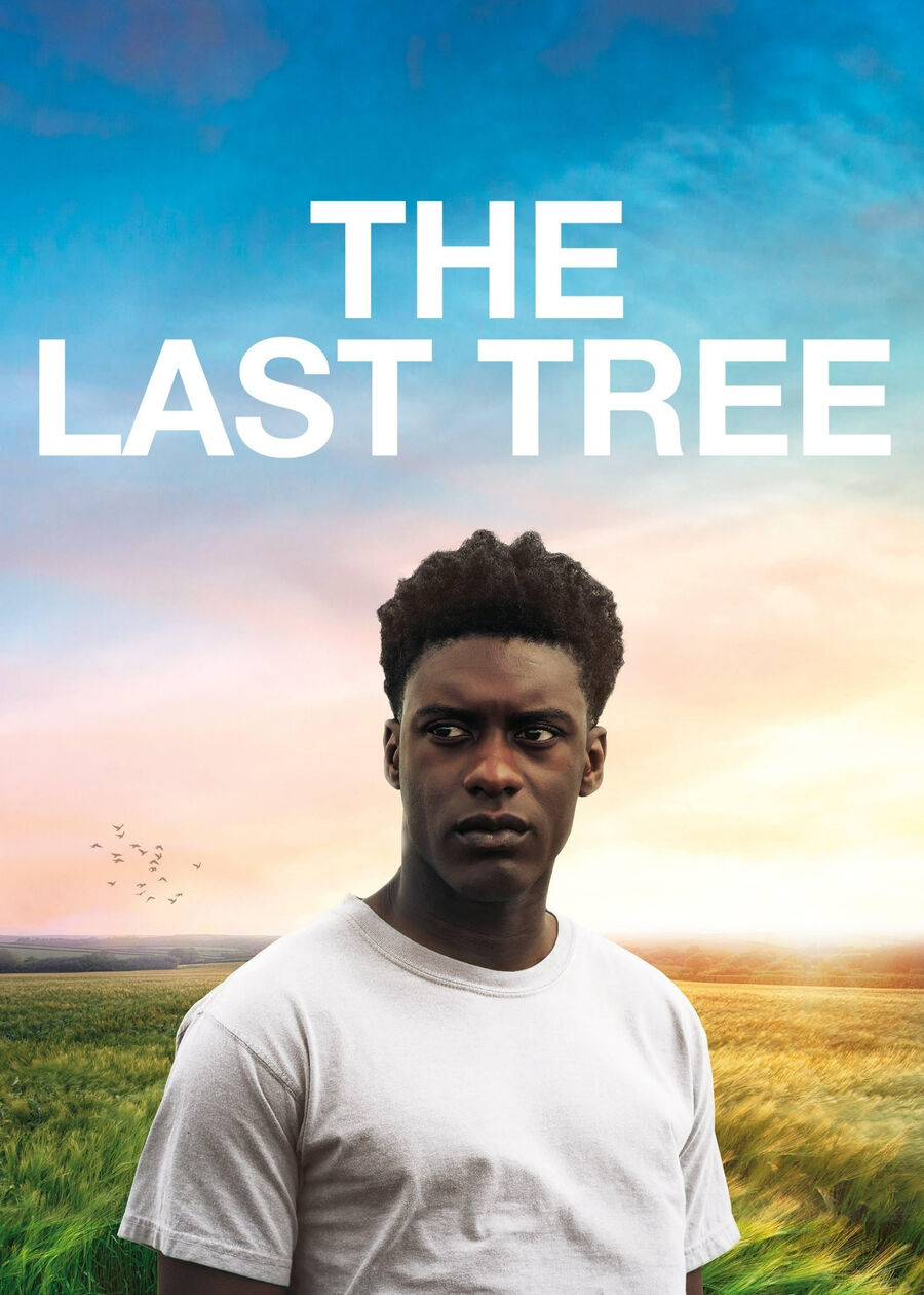 Hình ảnh phim The Last Tree