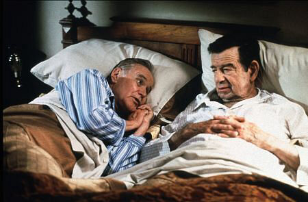 Poster phim The Odd Couple II