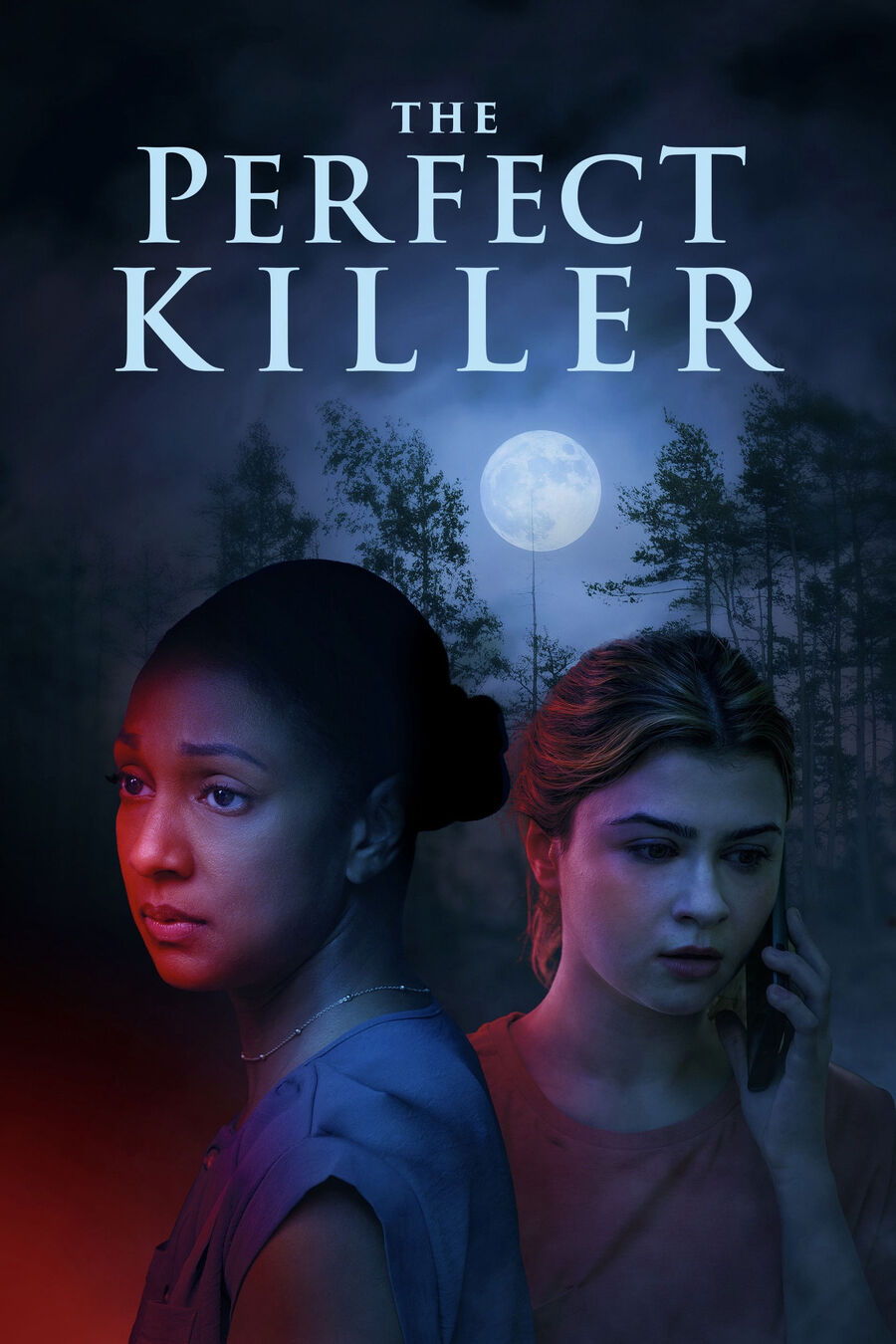 Hình ảnh phim The Perfect Killer