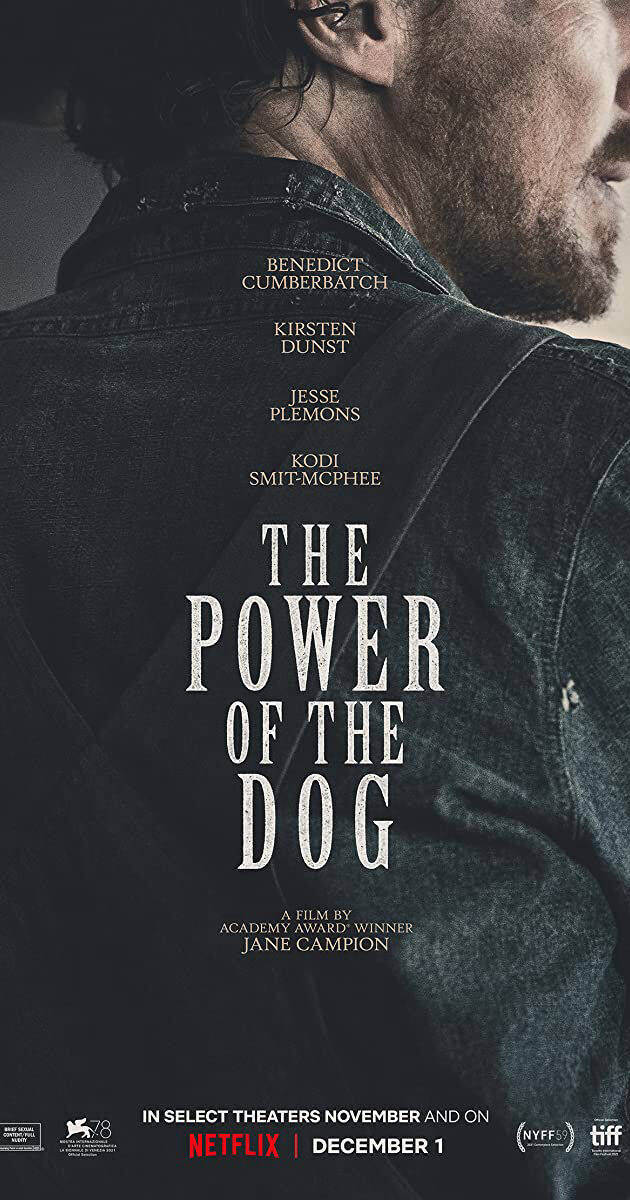 Hình ảnh phim The Power of the Dog