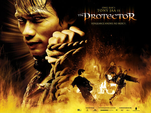 Poster phim The Protector