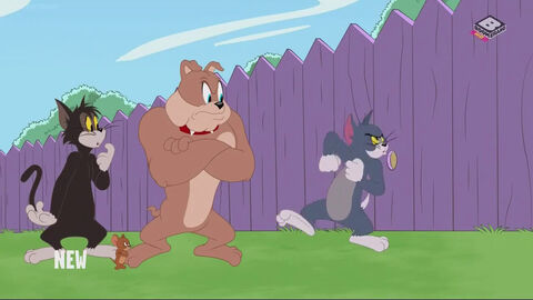 Hình ảnh tập 1 The Tom and Jerry Show (Phần 3)