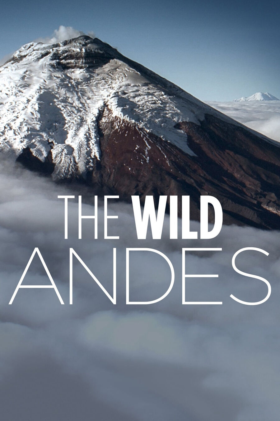 Hình ảnh phim The Wild Andes