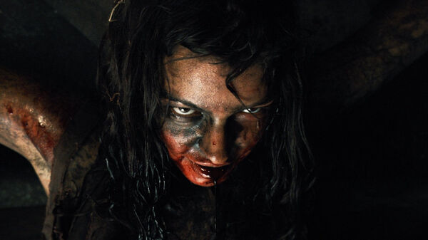 Poster phim The Woman