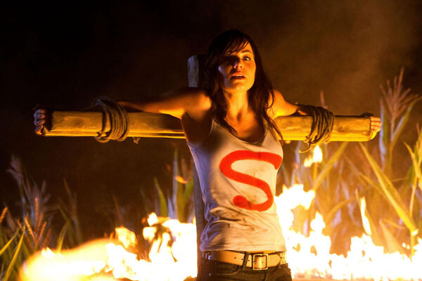 Poster phim Thị Trấn Smallville (Phần 10)