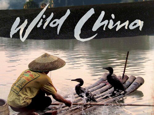 Poster phim Thiên Nhiên Hoang Dã Trung Quốc