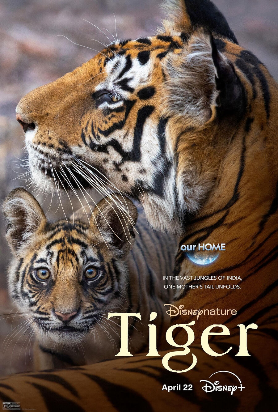 Hình ảnh phim Tiger