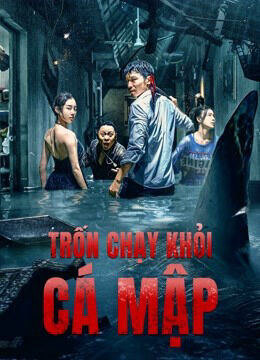 Hình ảnh phim Trốn Chạy Khỏi Cá Mập