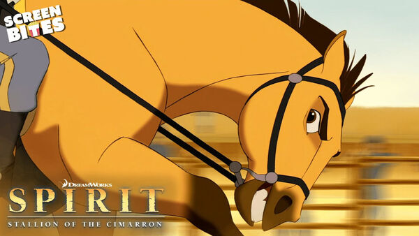 Poster phim Tuấn Mã Dòng Cimarron