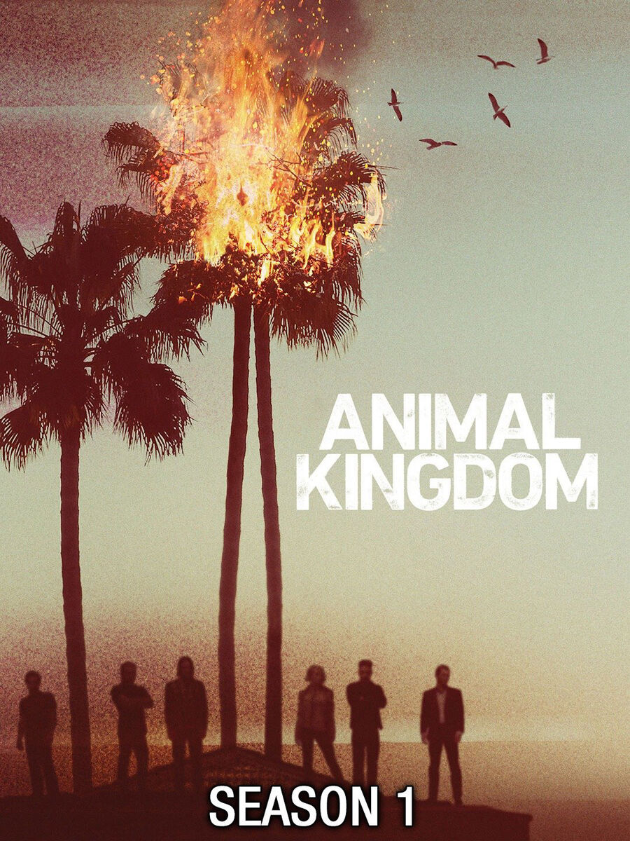 Hình ảnh phim Vương quốc động vật (Phần 1)