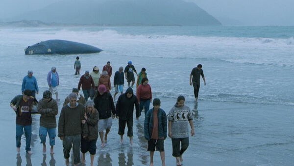 Poster phim Whale Rider