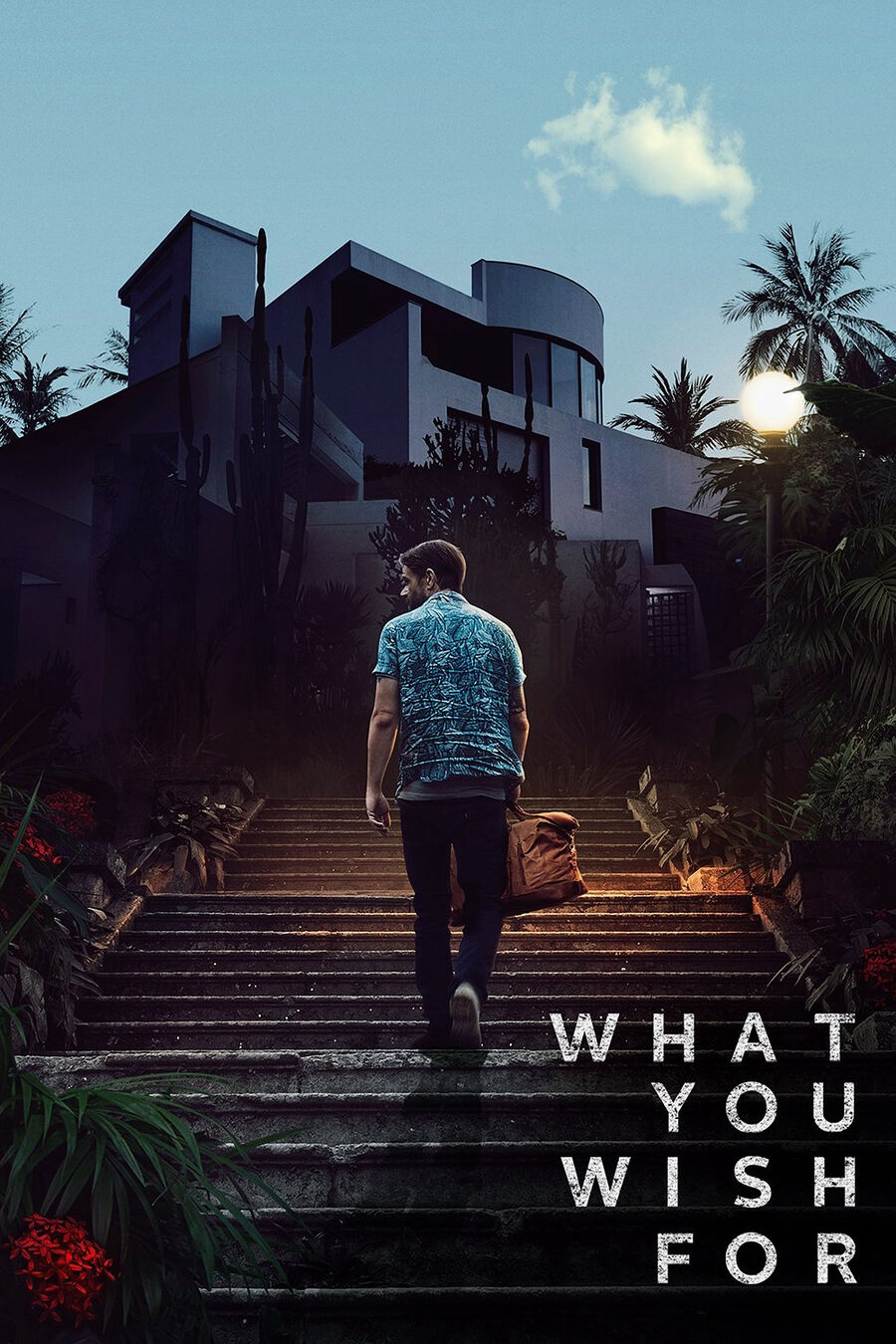 Hình ảnh phim What You Wish For
