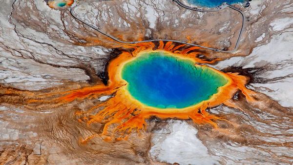 Poster phim Yellowstone