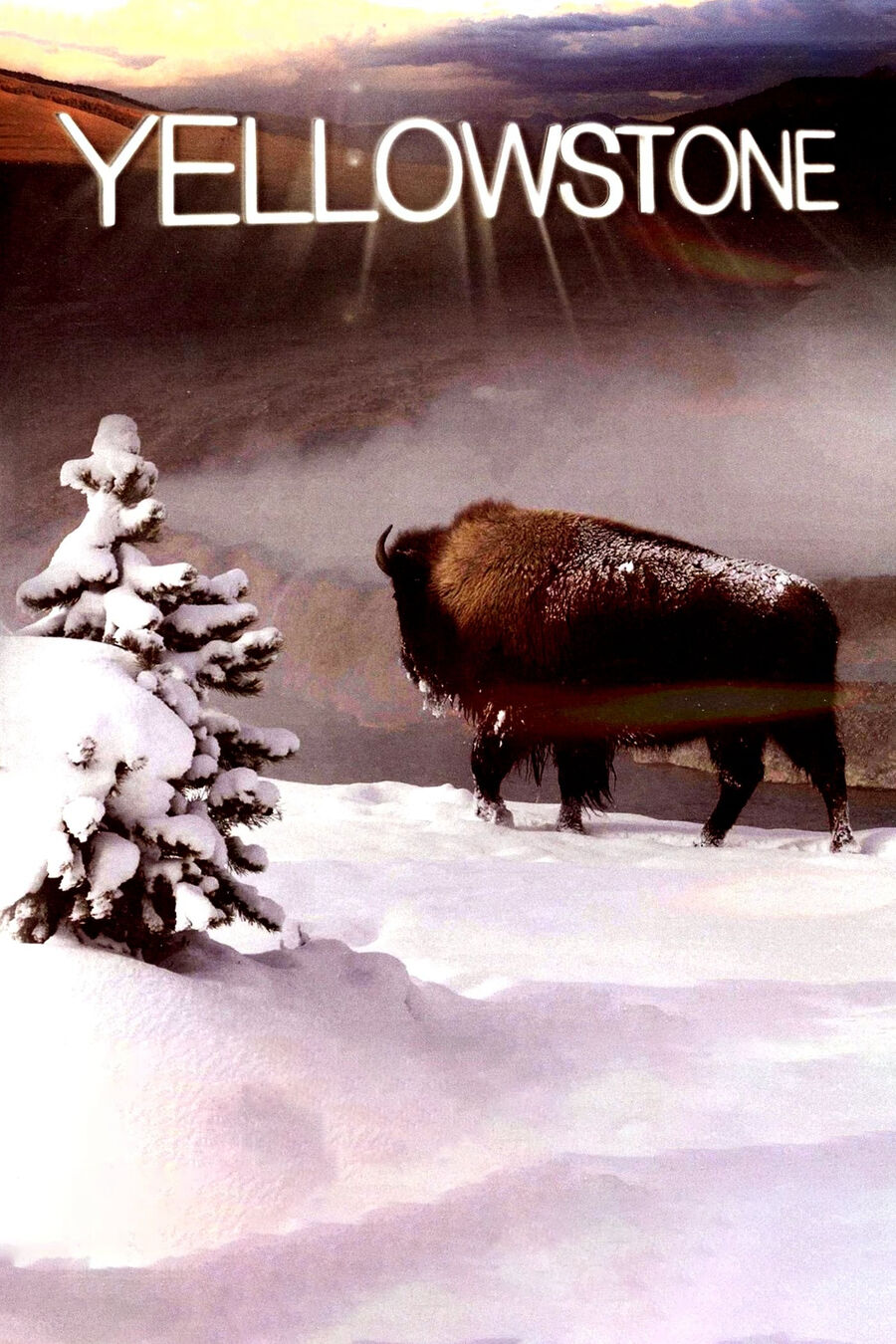 Hình ảnh phim Yellowstone