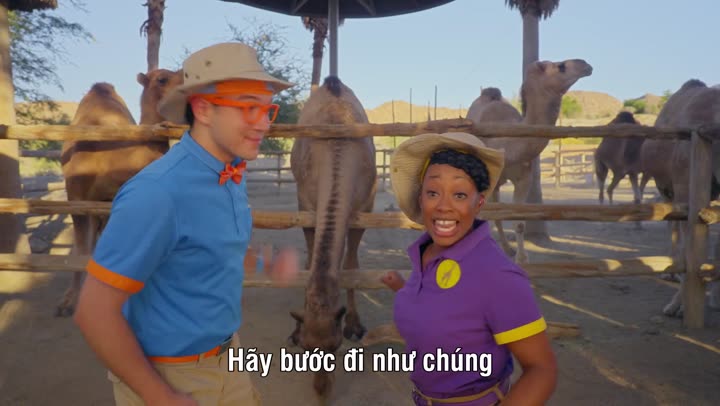 Tập 1 phim Blippi đi làm (Phần 2)