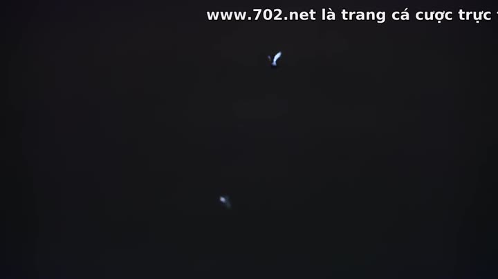 Hình ảnh tập 2 Động vật (Phần 2)