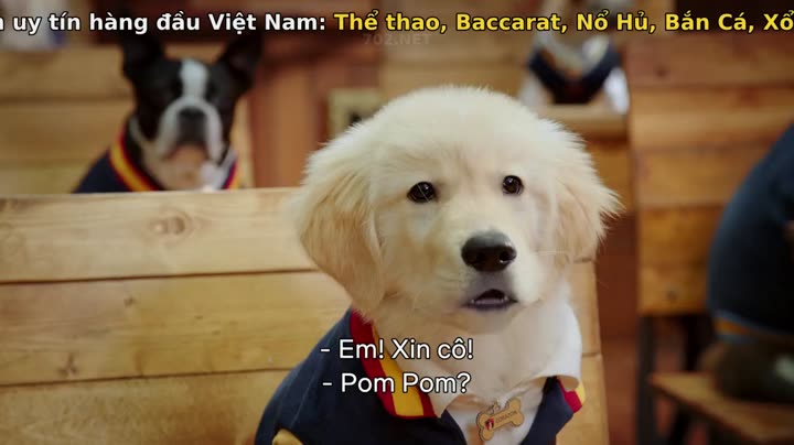 Tập 2 phim Học viện cún con (Phần 1)