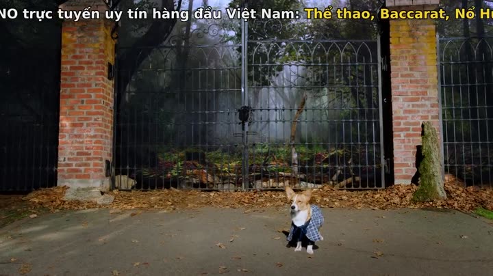 Tập 3 phim Học viện cún con (Phần 1)