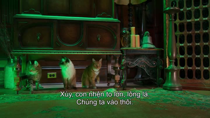 Hình ảnh tập 1 Mèo nhát