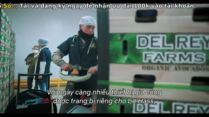 Tập 1 phim Mục ruỗng (Phần 2)