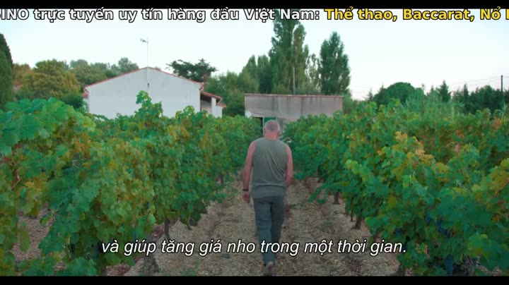 Tập 2 phim Mục ruỗng (Phần 2)