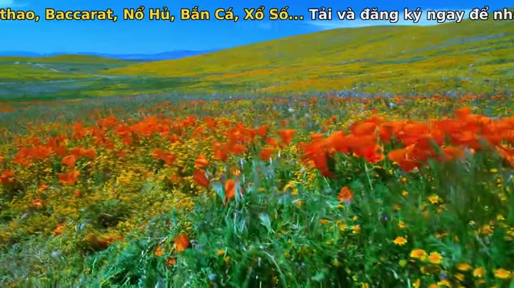 Tập 2 phim Nghệ thuật của tự nhiên (Phần 1)