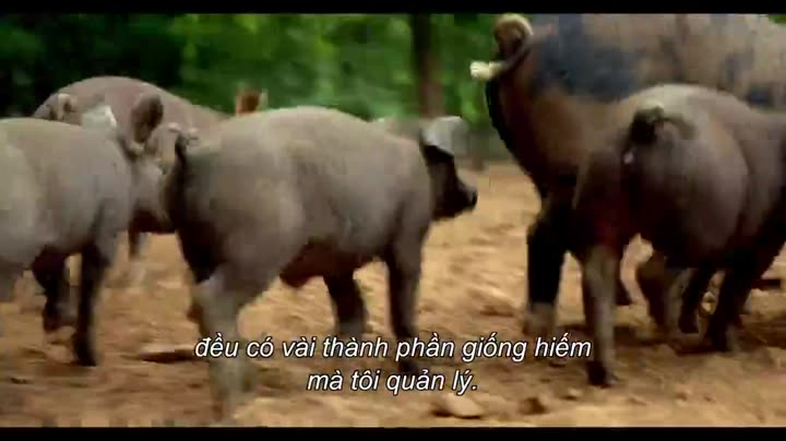 Hình ảnh tập 1 Nghệ thuật nấu ăn