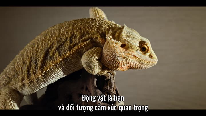 Hình ảnh tập 2 Những sinh vật tí hon