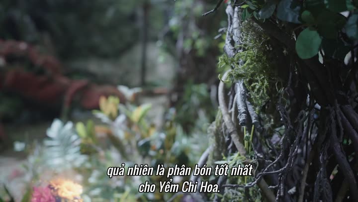 Hình ảnh tập 3 Trường Nguyệt Tẫn Minh