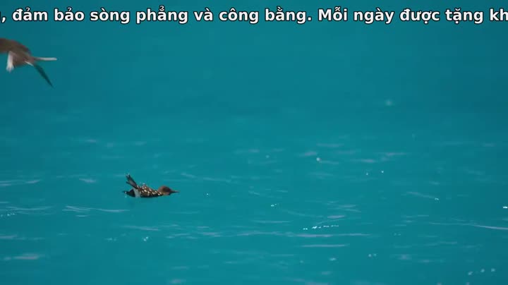 Tập 1 phim Đại Dương Sâu Thẳm 2