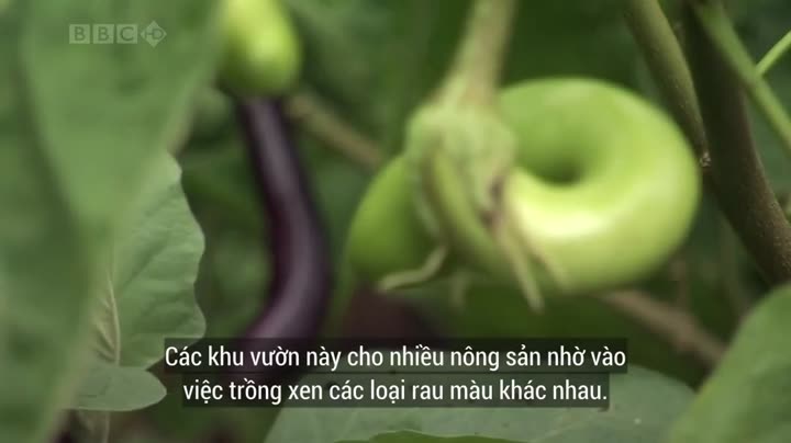Hình ảnh tập 2 Thiên Nhiên Hoang Dã Trung Quốc