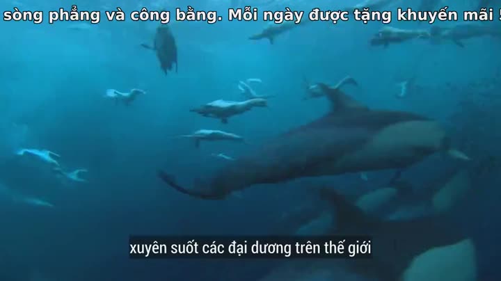 Tập 1 phim 60 Năm Trong Hoang Dã