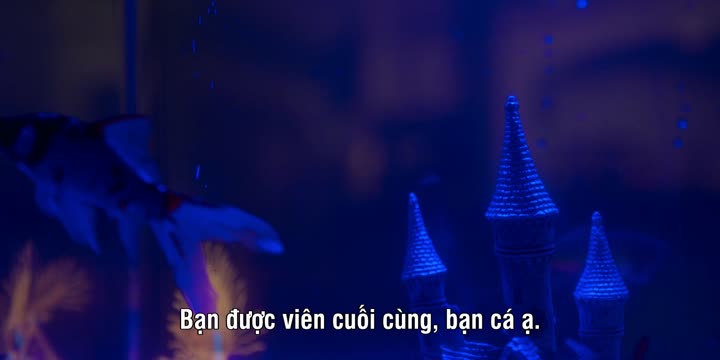 Tập 2 phim Wolf Like Me (Phần 2)